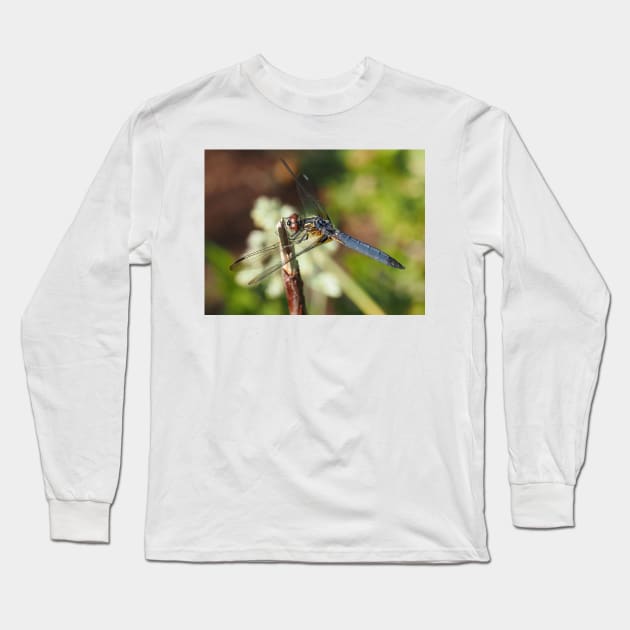 Blue dasher dragonfly (Pachydiplax longipennis) Long Sleeve T-Shirt by SDym Photography